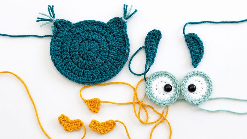 The Owl's Head & Body