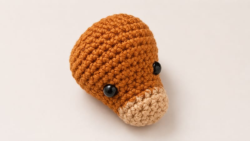 The Head