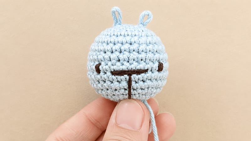 Crochet the Head