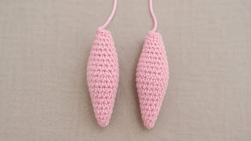 Ears