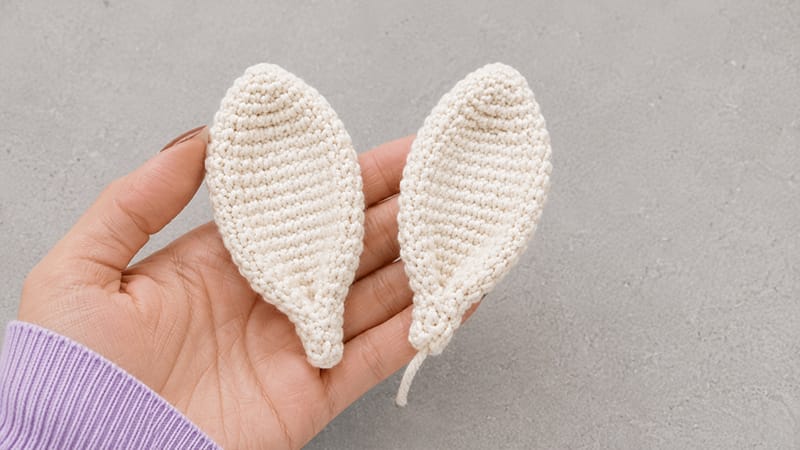 Ears