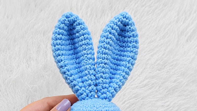 Long Ears